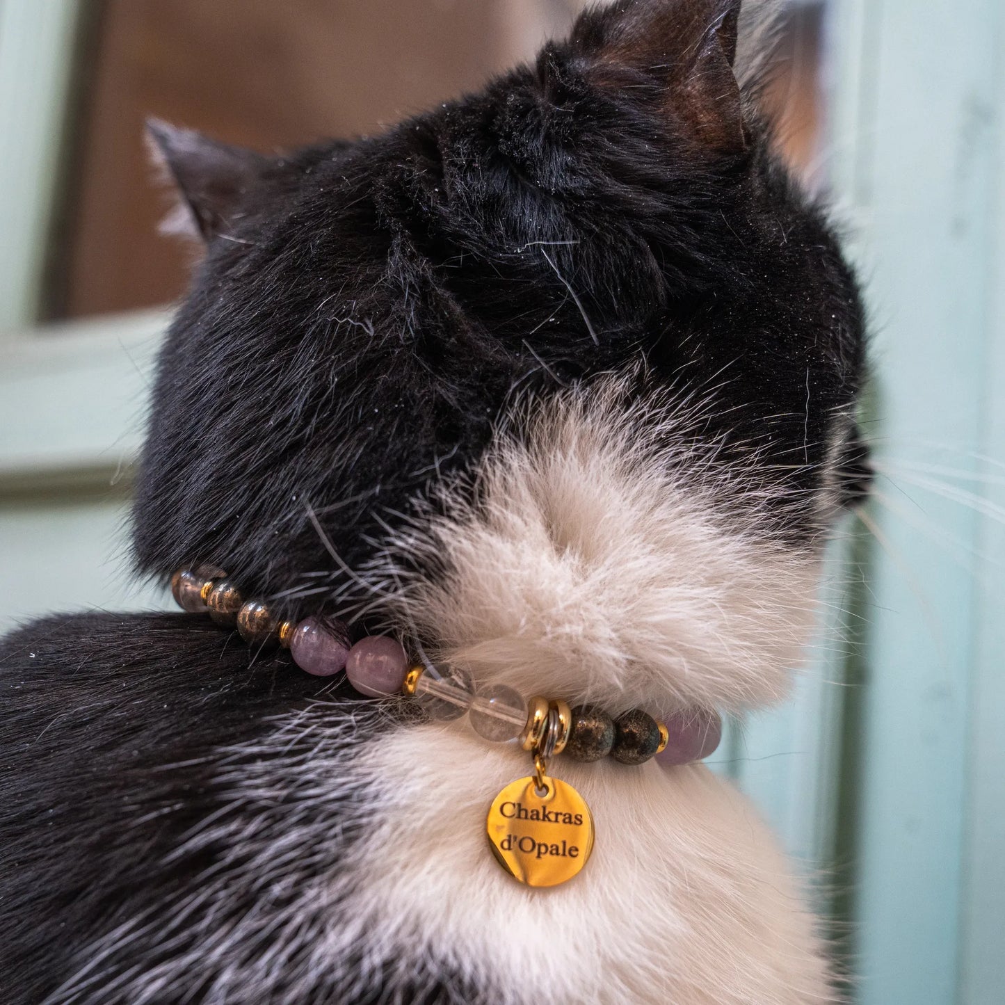 Collier Chat Anti-Addictions