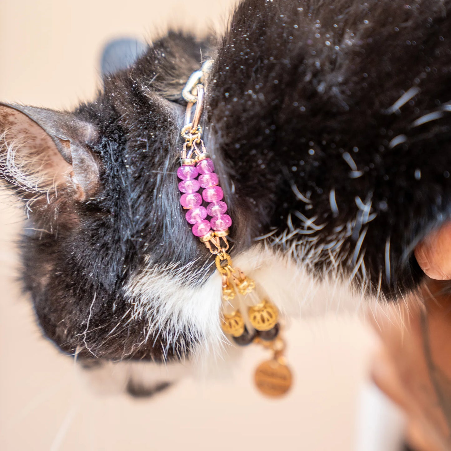 Feline Pink Cat Necklace
