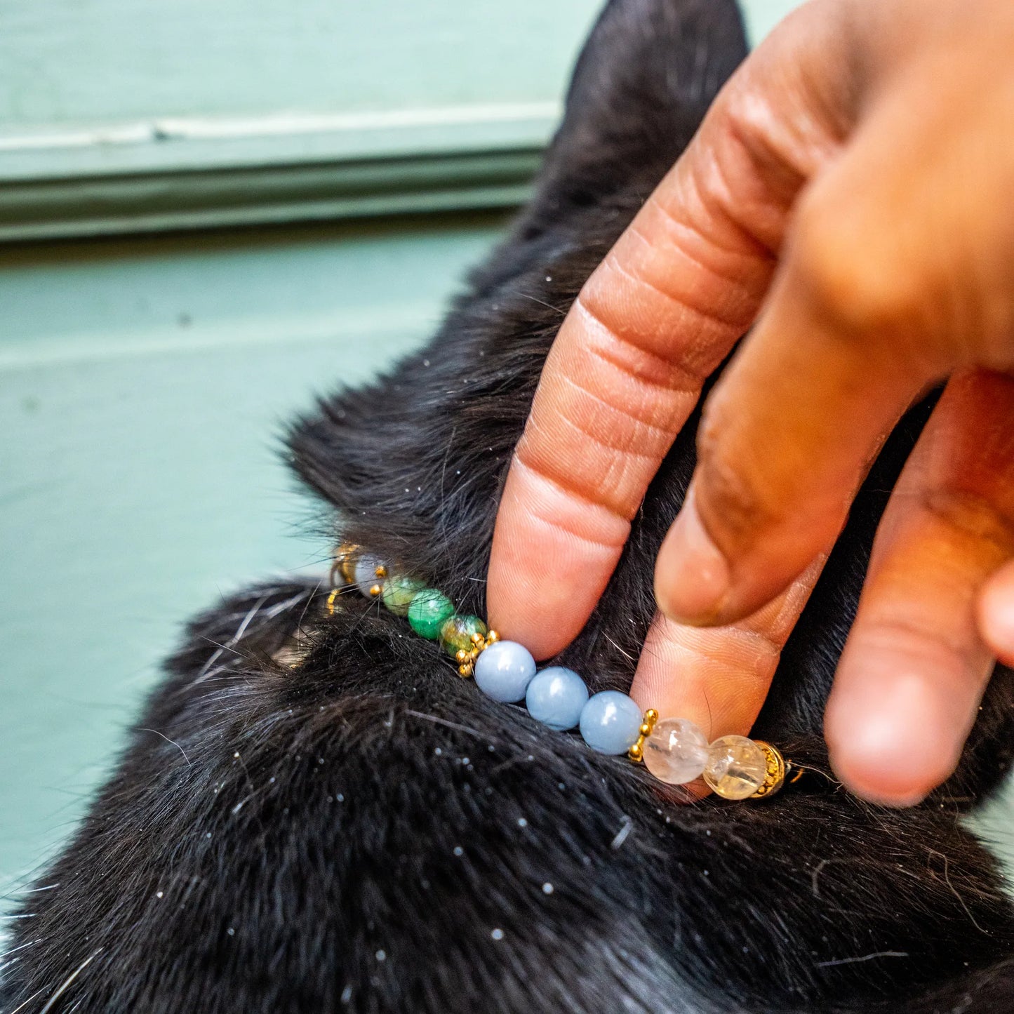 Collier Chat "ChaHut" Noctembulisme