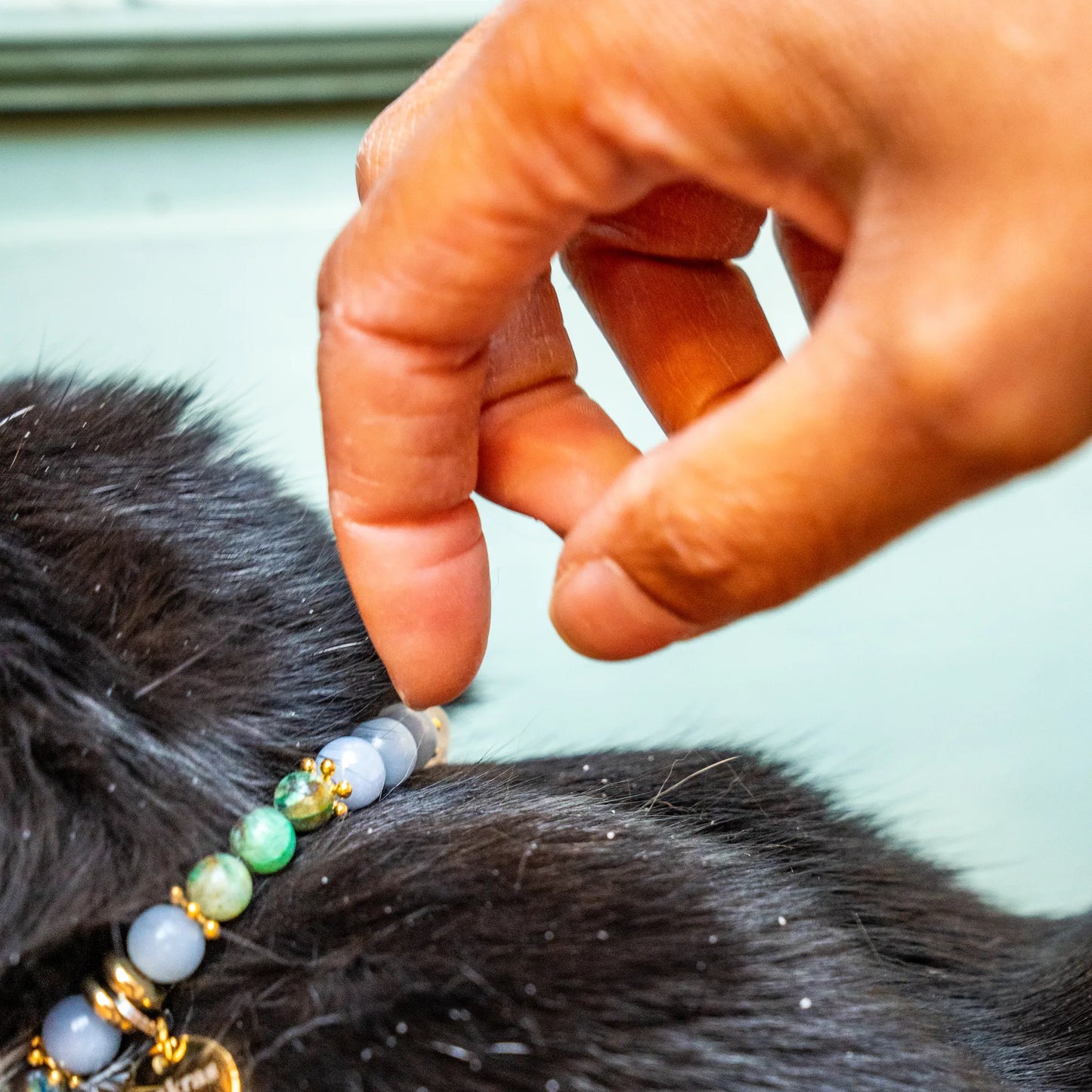 Collier Chat "ChaHut" Noctembulisme