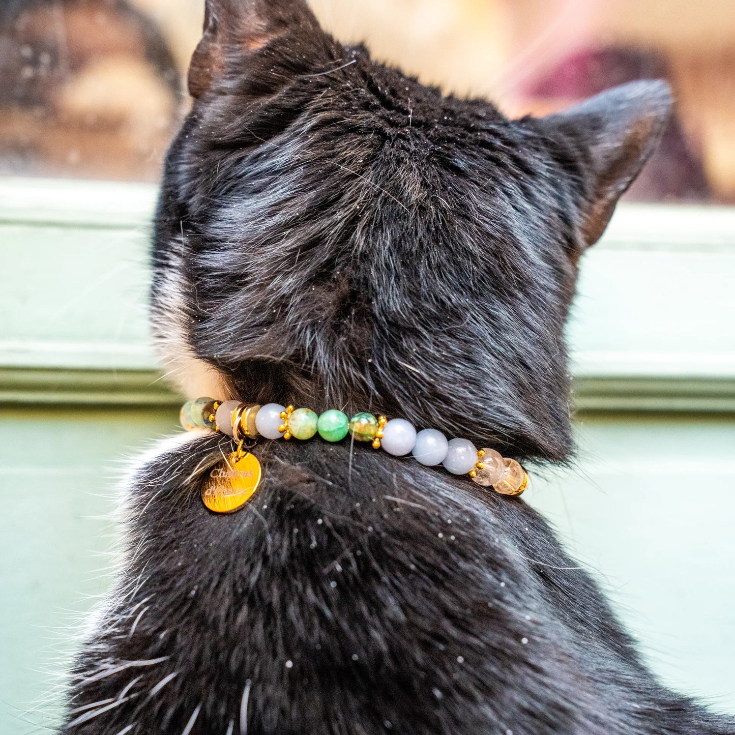 Collier Chat "ChaHut" Noctembulisme
