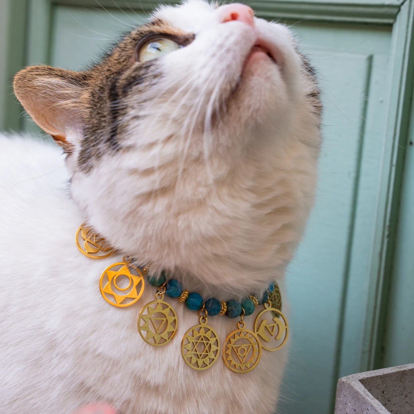 "Signature" Cat Necklace 7 chakras "Opal Feline"