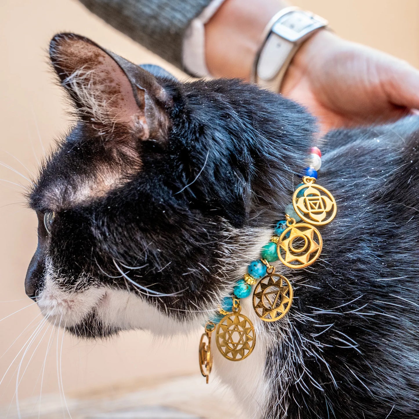 "Signature" Cat Necklace 7 chakras "Opal Feline"