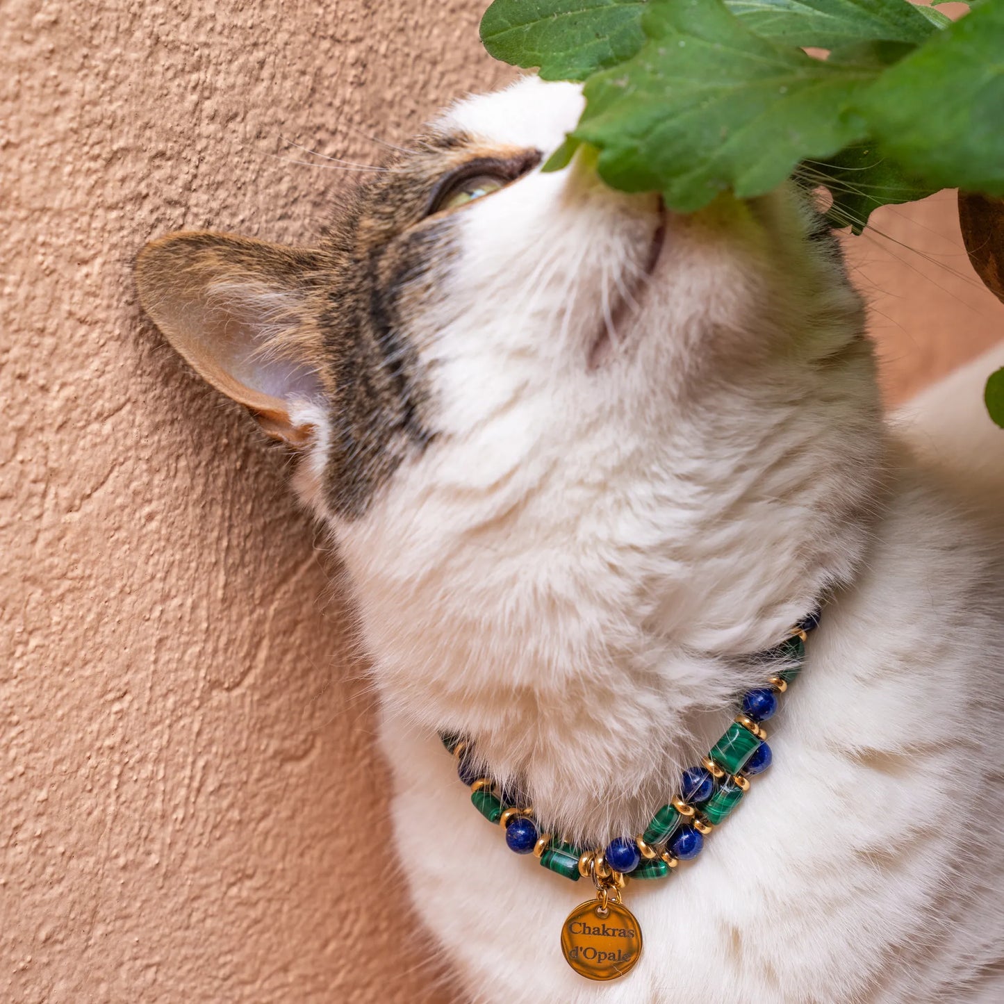 Gemini astrological sign cat necklace