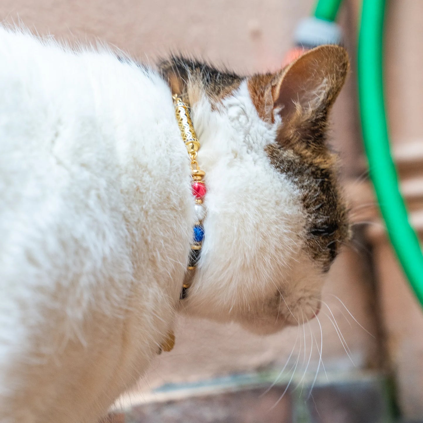 Leo astrological sign cat necklace