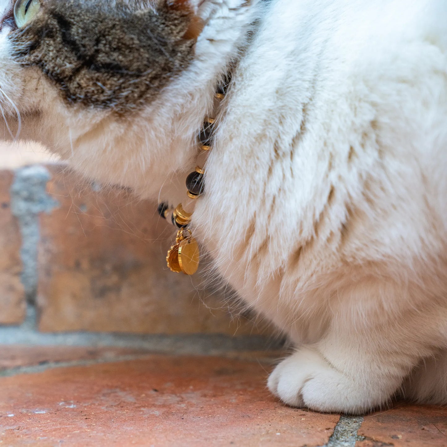 Leo astrological sign cat necklace
