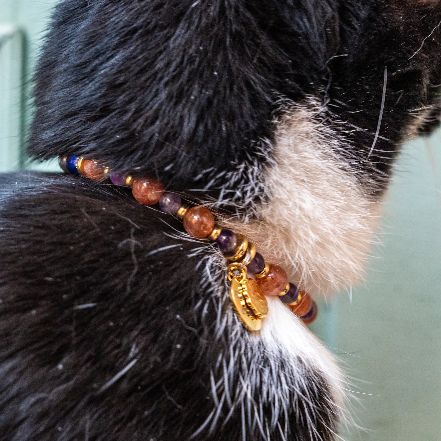Collier Chat signe astro Poisson