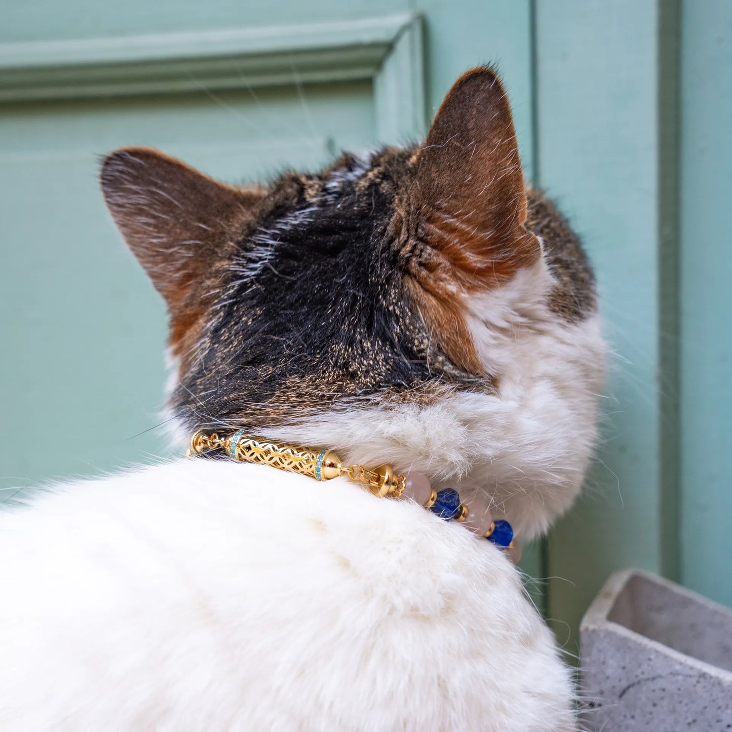 Taurus astrological sign cat necklace