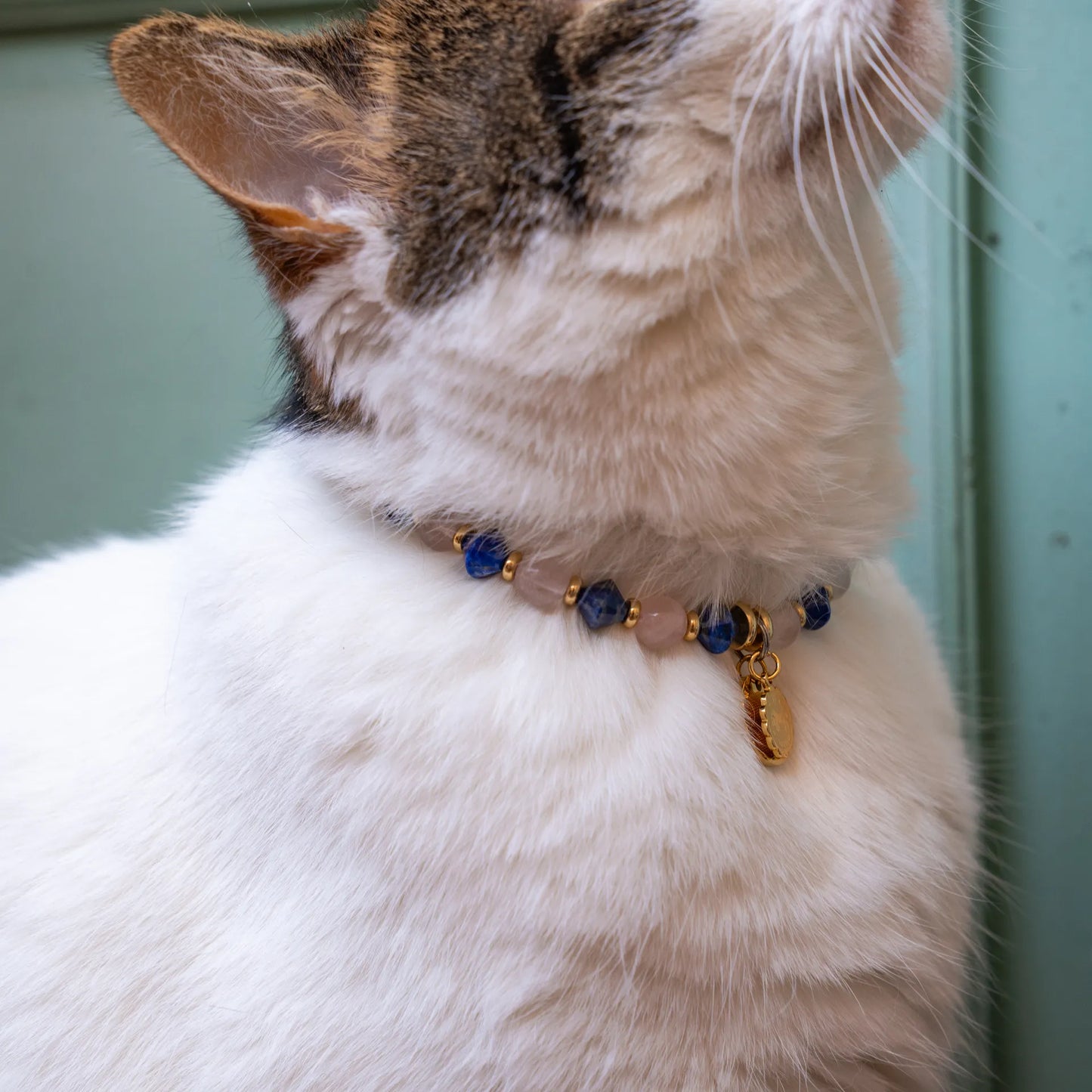 Taurus astrological sign cat necklace