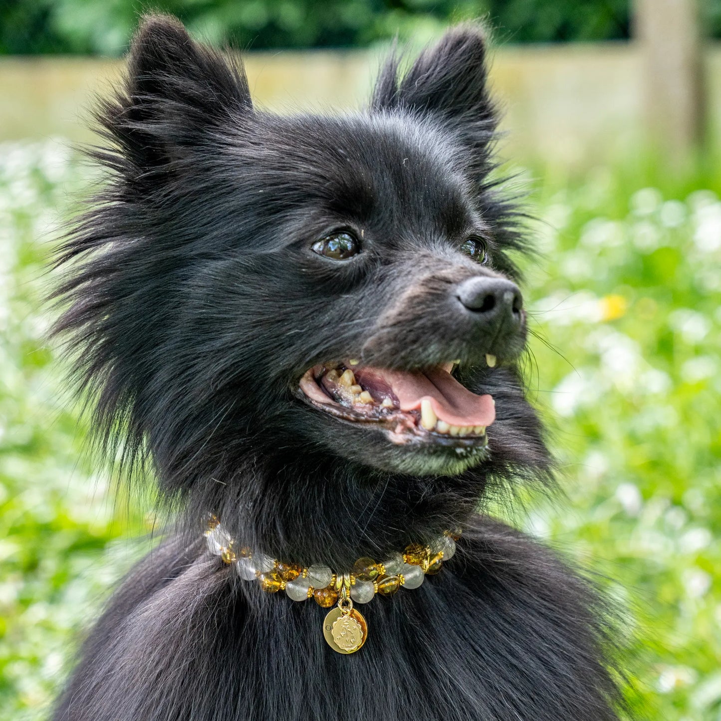 Libra Astrological Sign Dog Necklace