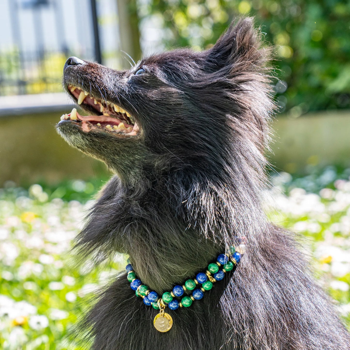 Gemini Astrological Sign Dog Necklace