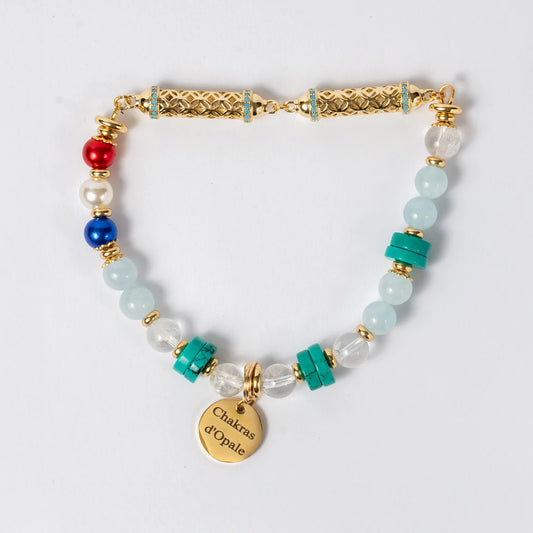 Collier Chat "ChaPristi" Anti-Agressivité