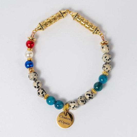 Collier Chat HyperSenssibilitée