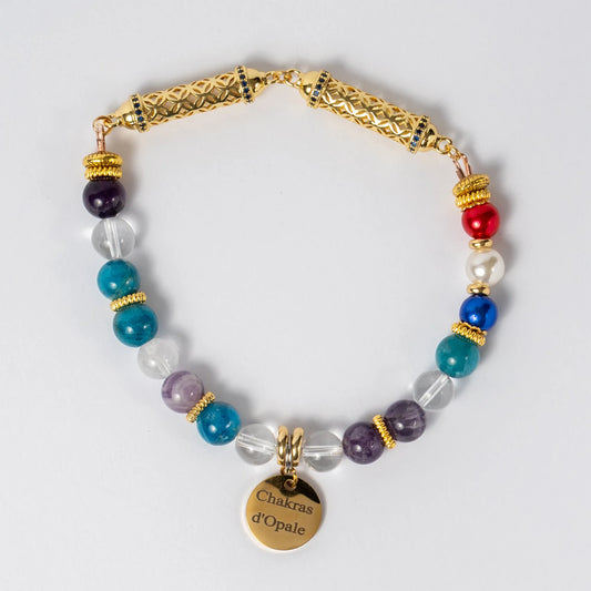 Collier Chat Perte de poids