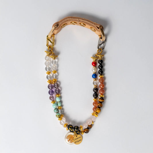 Collier Chien 7 chakras