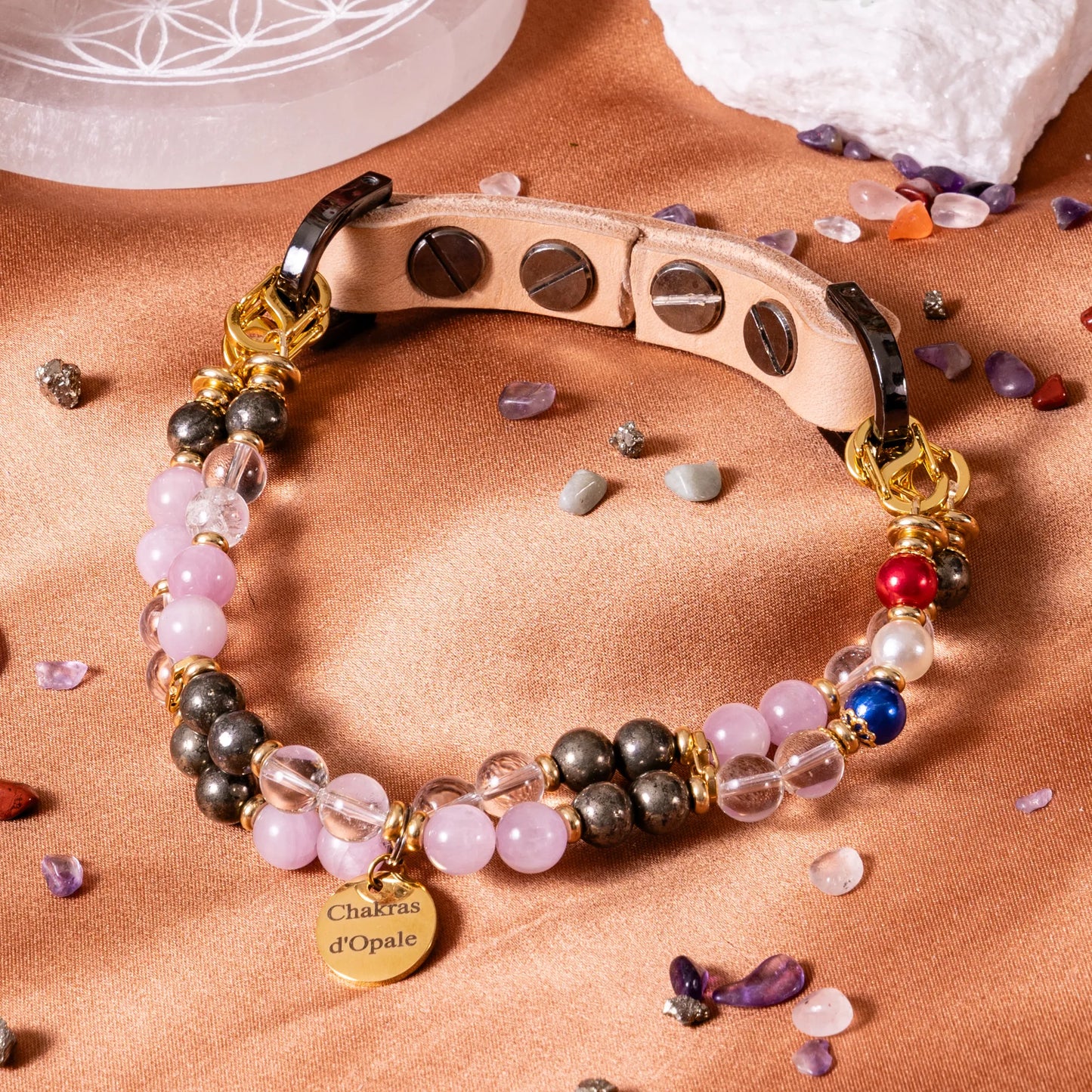 Dog Addictions Collar