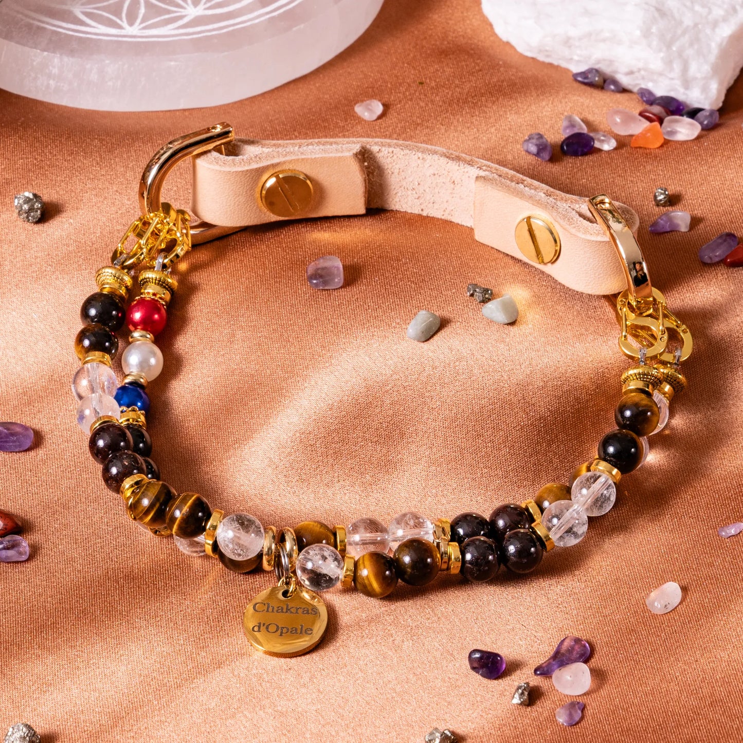 Anti-Grief Dog Collar