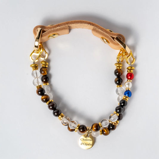 Collier Chien Anti-Chagrins