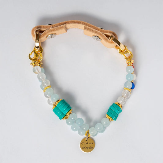 Sapristi Collier Chien Anti Aboiements - Mal des transports - Hyperactivité