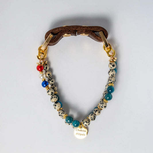 Collier Chien HyperSensibilitée