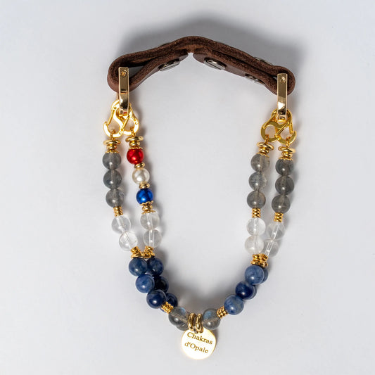 Collier Chien Hypersensibilité Version Labradorite