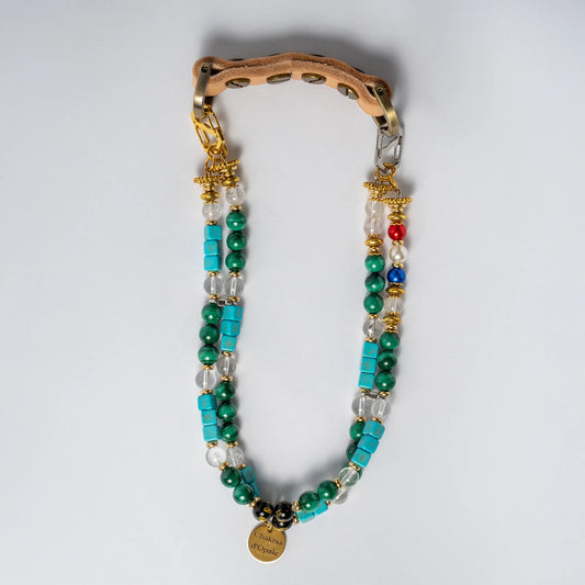 Collier Chien "Le Ptit Écolier Éloquent" Sociabilisation