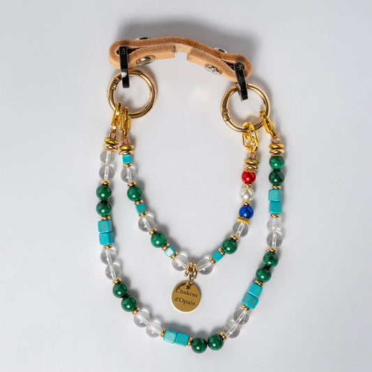 Collier Chien "Le Ptit Écolier Éloquent" Poils longs