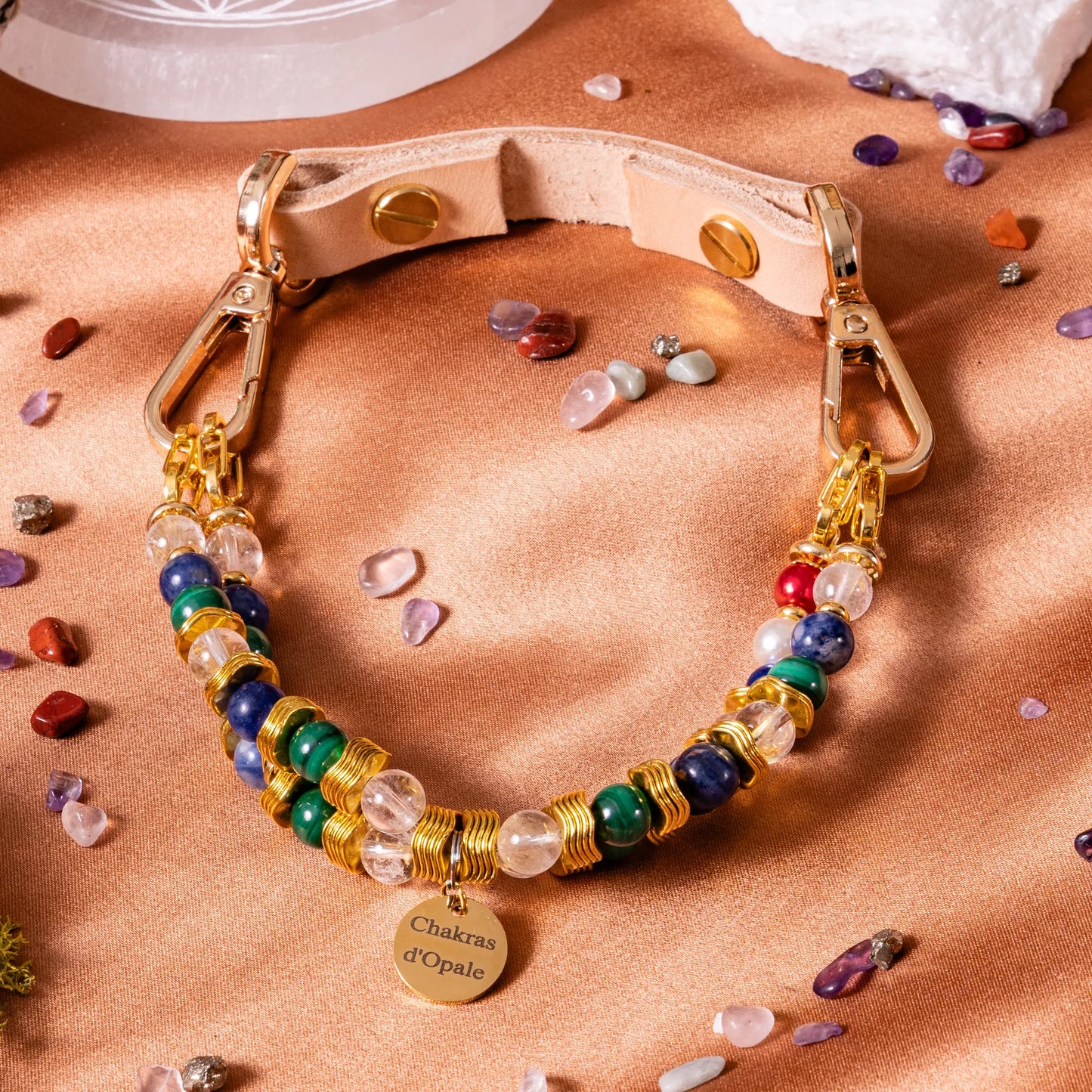 "The Sensitive Little Schoolboy" Dog Collar