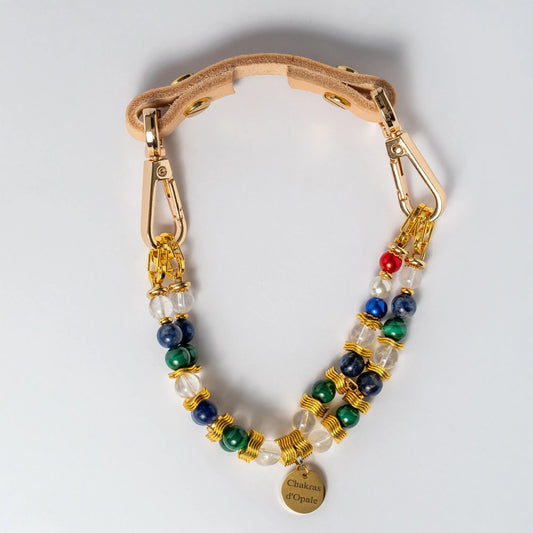 Collier Chien "Le Ptit Écolier Sensible"