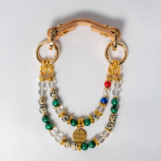 Collier Chien "Le Ptit Écolier Décidé" poils long