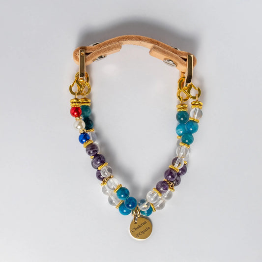 Collier Chien Perte de poids