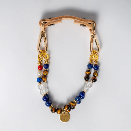 Collier Chien Poils à gratter - Anti Démangaisons