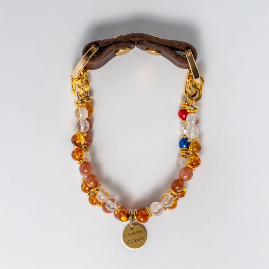 Collier Chien "Saut d'Puce" Anti-Puces Optimiste