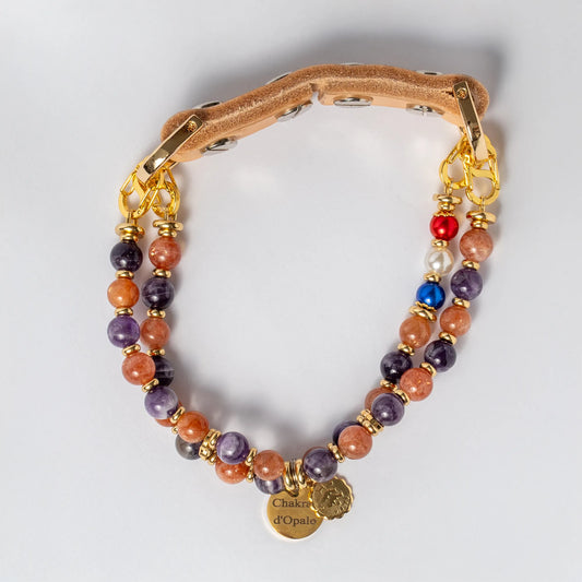 Collier Chien Signe Astro Poisson