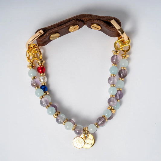 Collier Chien Signe Astro Verseau