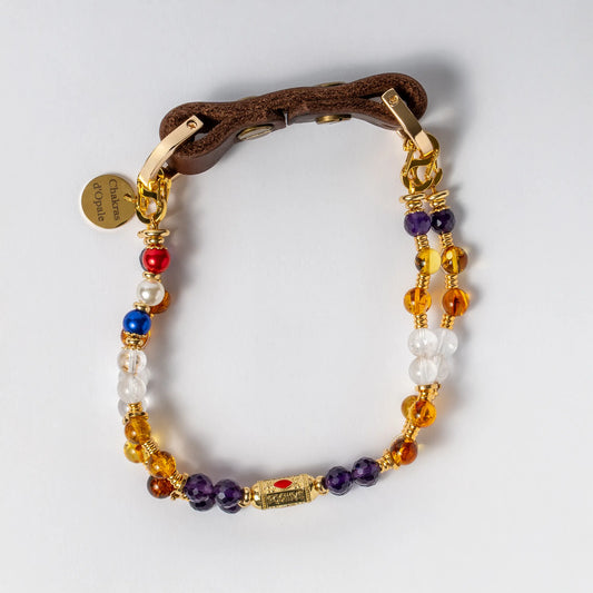 Collier Chien Talismant Saut d'Puce Apaisée