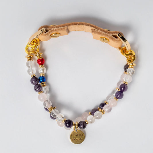 Collier Chien "Tromato" Anxieux - Traumastimes