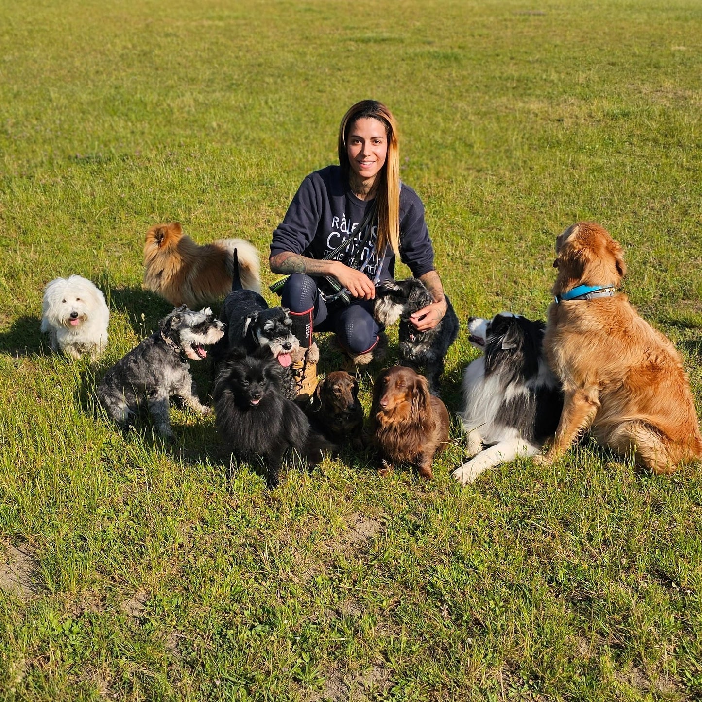 Séance Comportementale Complète à Domicile | Gestion de l'Anxiété, de la Réactivité et des Troubles Émotionnels