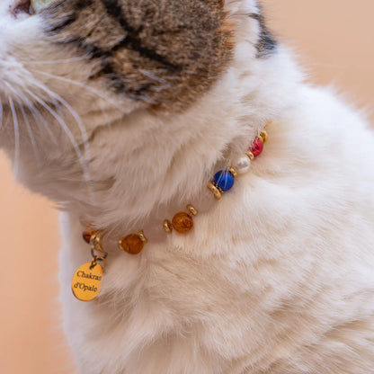 Collier Chat signe astro Balance
