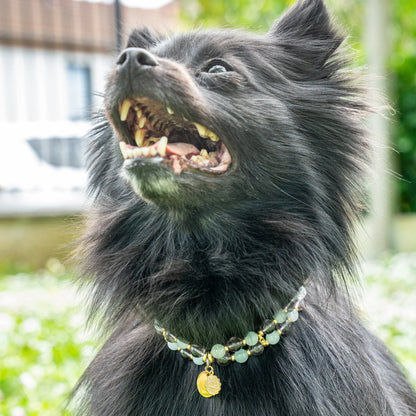 Aquarius Astrological Sign Dog Necklace