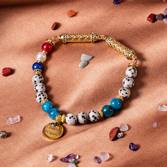 Collier Chat HyperSenssibilitée