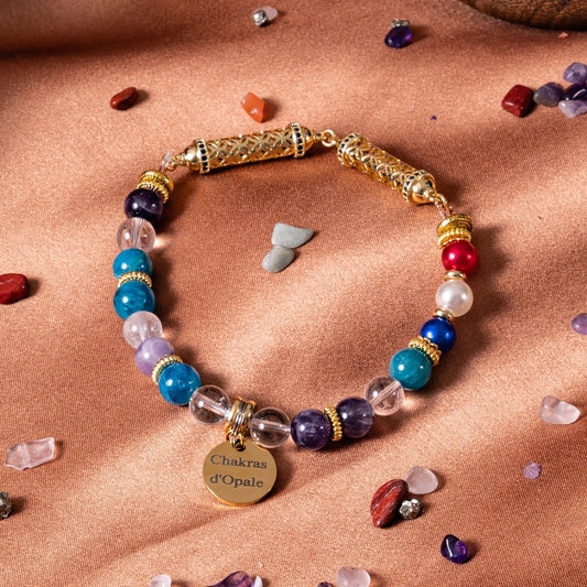Collier Chat Perte de poids