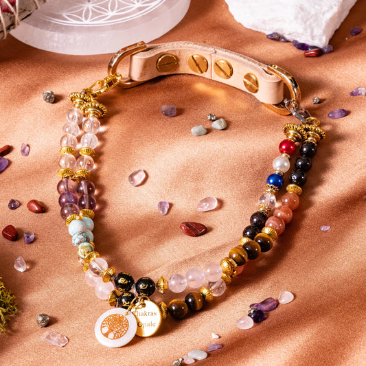 7 Chakra Dog Necklace