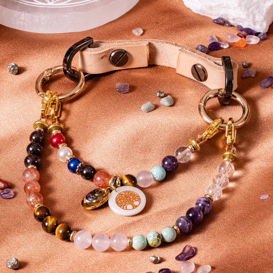 7 Chakra Dog Collar Long Hair