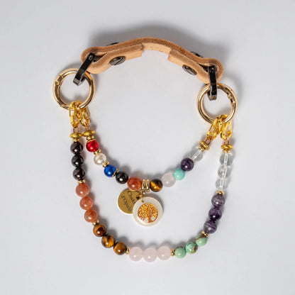 Collier Chien 7 chakras Poils longs