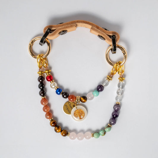 7 Chakra Dog Collar Long Hair