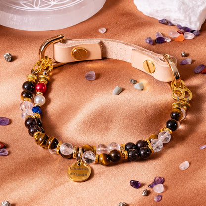 Anti-Grief Dog Collar