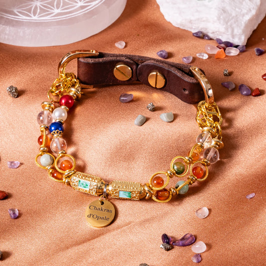 "The Golden Talisman" Dog Collar for Calm and Courage