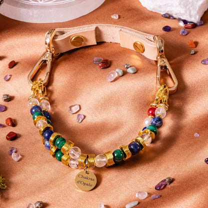 "The Sensitive Little Schoolboy" Dog Collar
