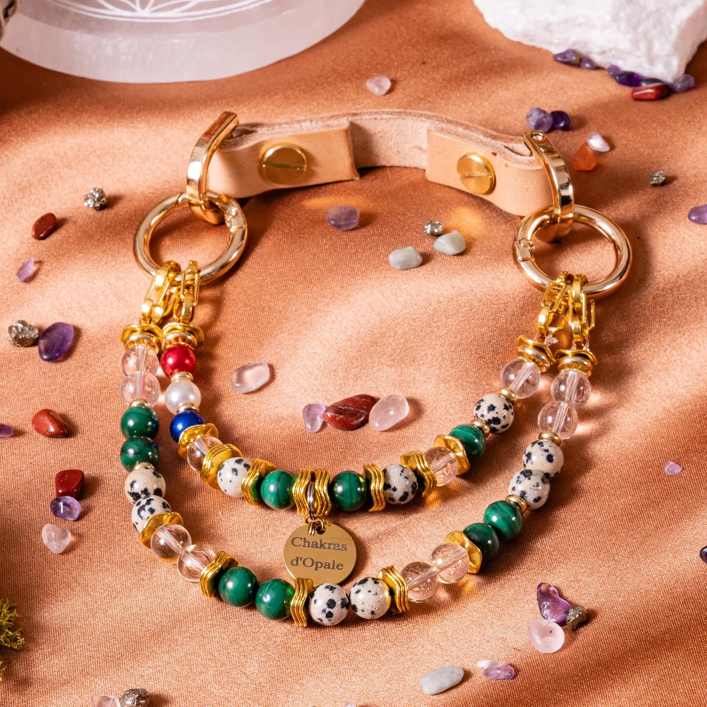 Collier Chien "Le Ptit Écolier Décidé" poils long